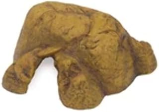 Exo Terra Reptile Cave, sicheres Versteck für Reptilien und Amphibien, M